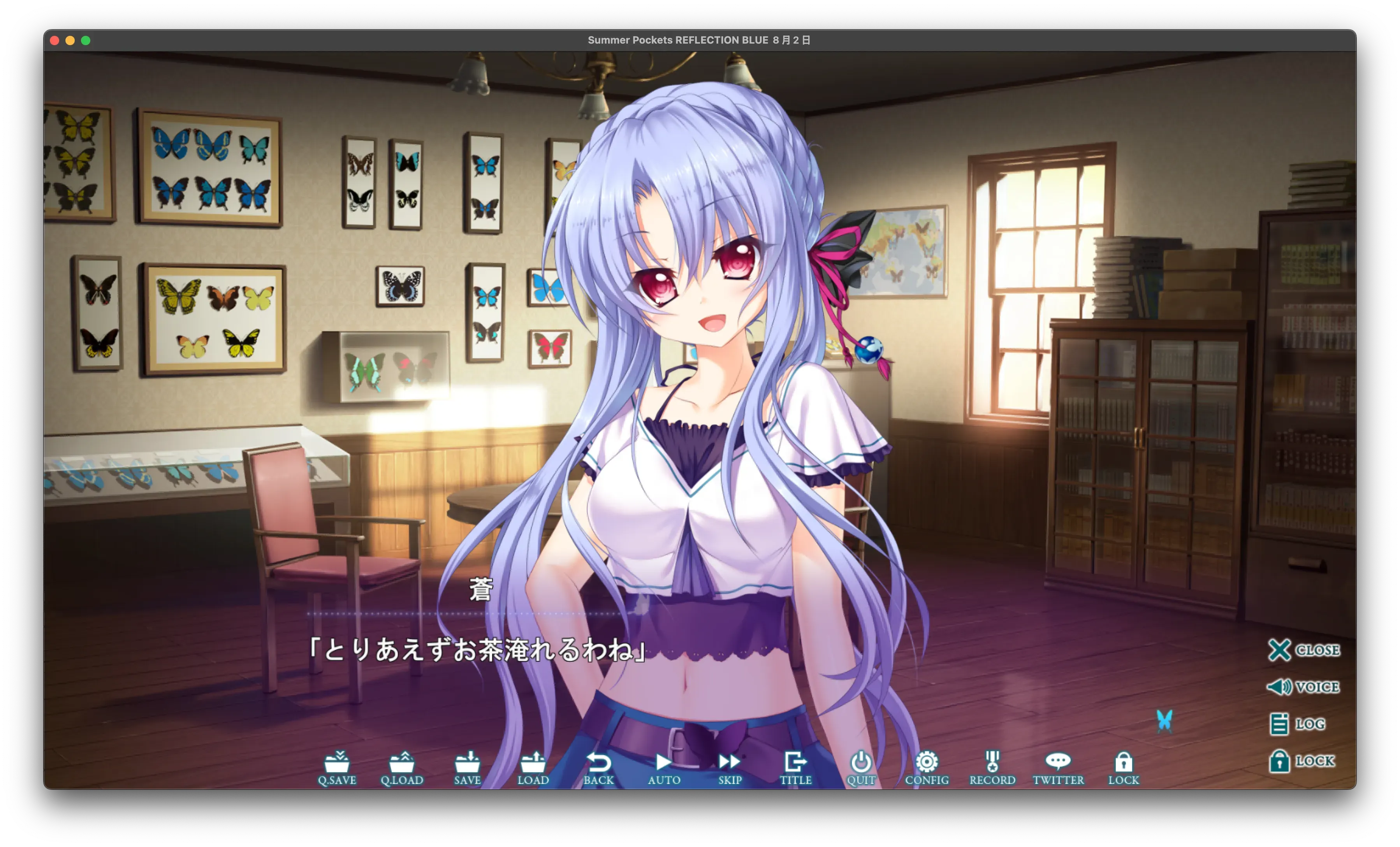 研究蝴蝶標本的少女