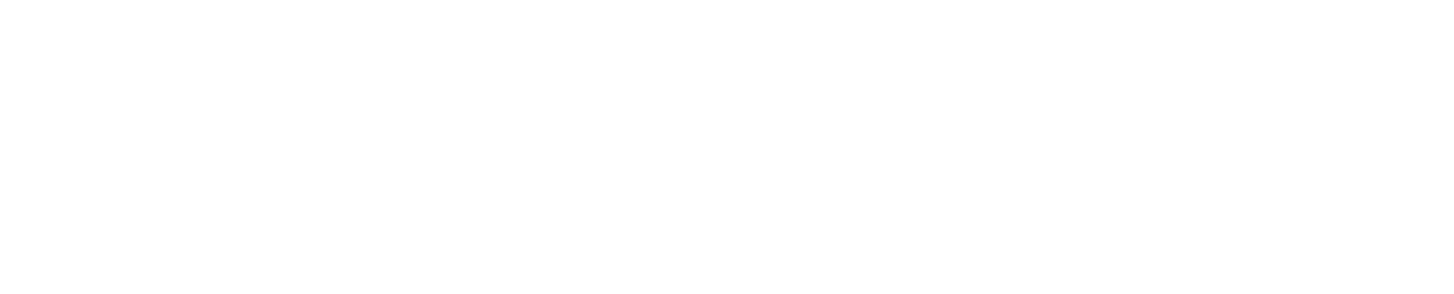 全球美少女觀察 Plus Working Group Partner